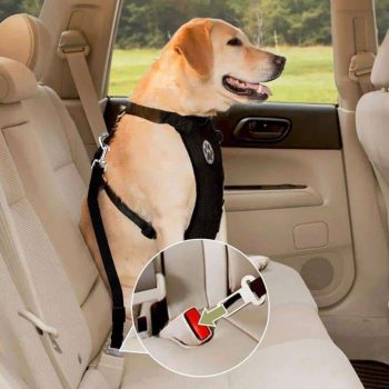 Adjustable Mesh Dog Harness with Safety Seat Belt & Snack Bag